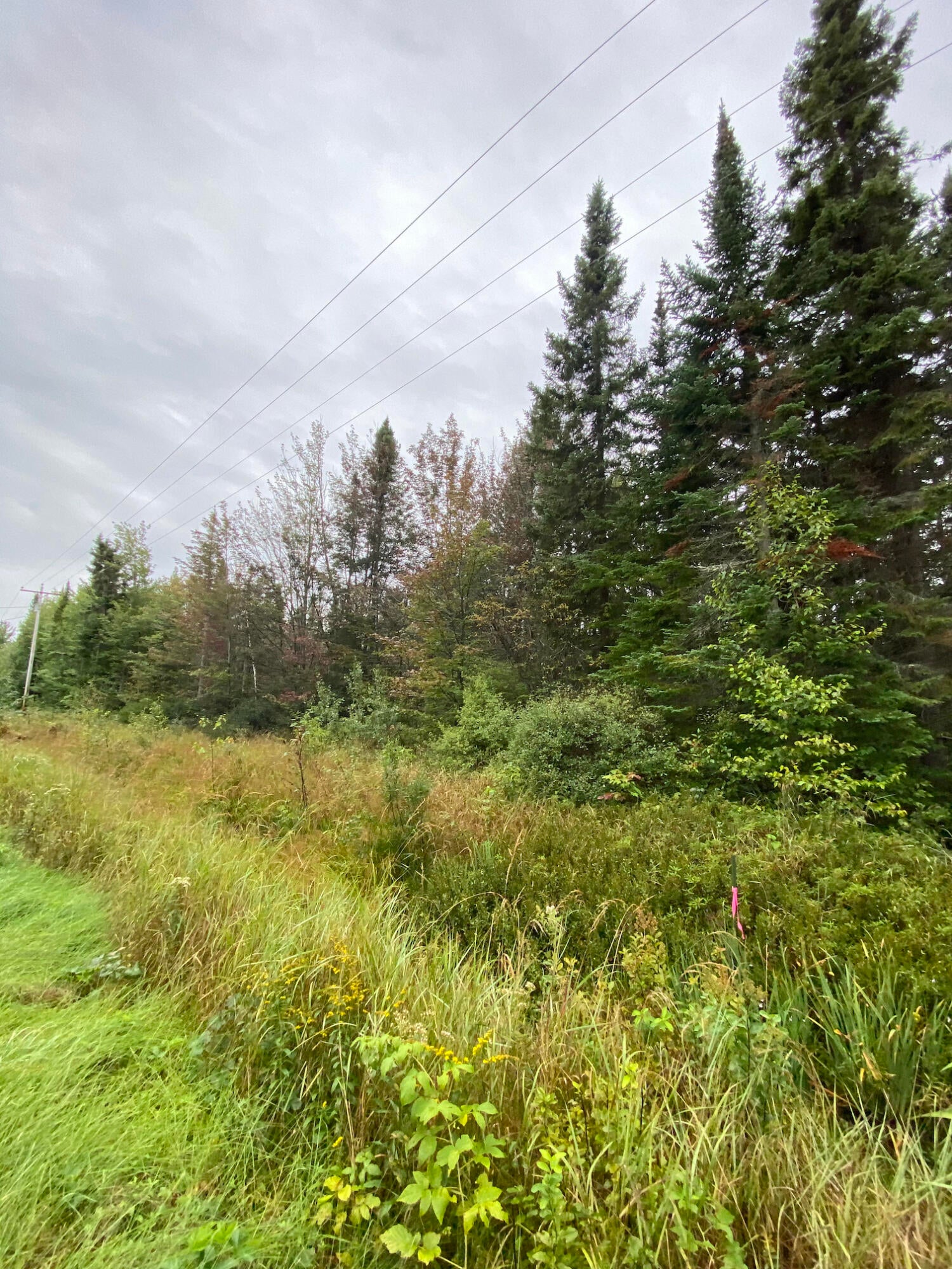 11101 North Whitefish Point Road Paradise, MI 49768 - Photo 5 of 7 Gallery Image 5