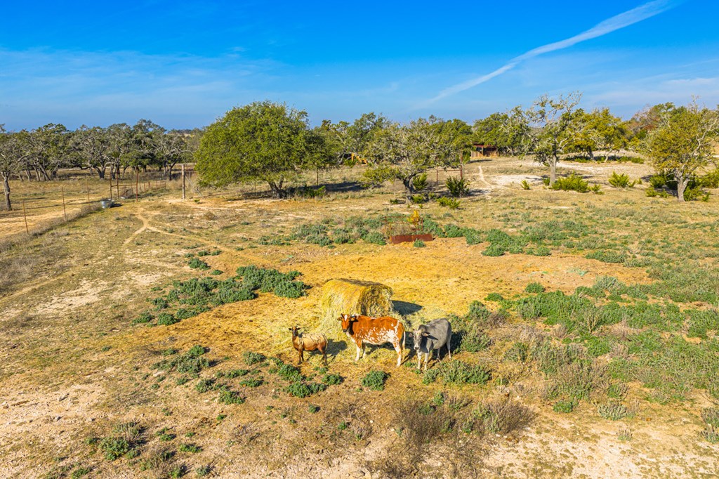 1031 Ranch To Market 479 Mountain Home, TX 78058 - Photo 12 of 22 a view of ocean