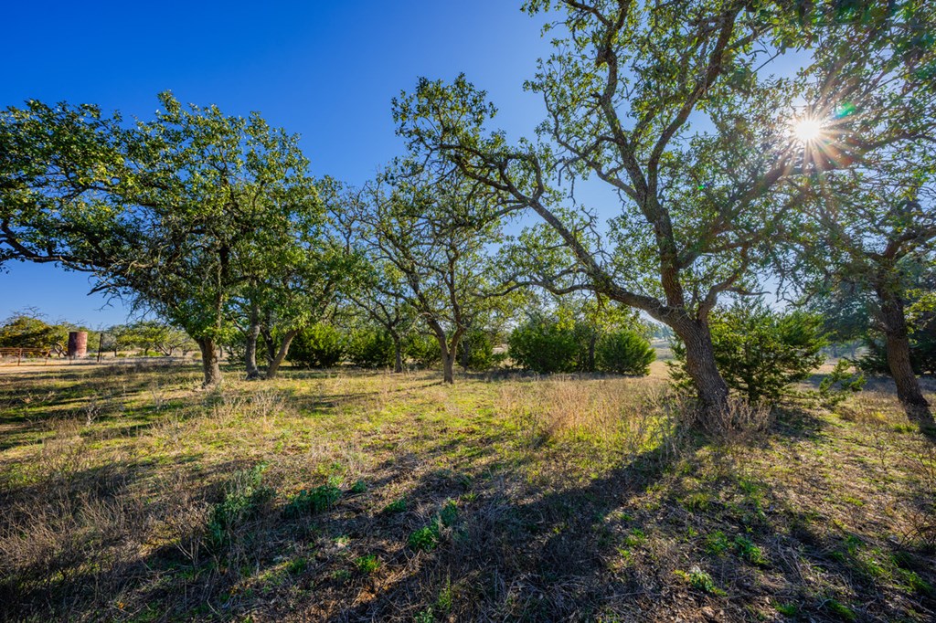 1031 Ranch To Market 479 Mountain Home, TX 78058 - Photo 19 of 22 a view of outdoor space with trees all around