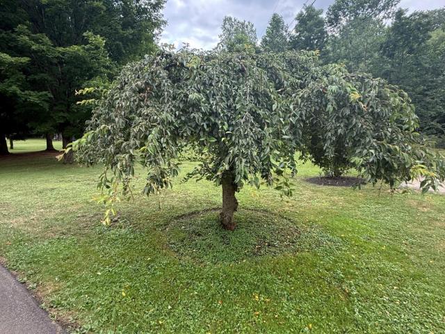 574 Priest Holw Road Russell, PA 16345 - Photo 23 of 54 Gallery Image 23