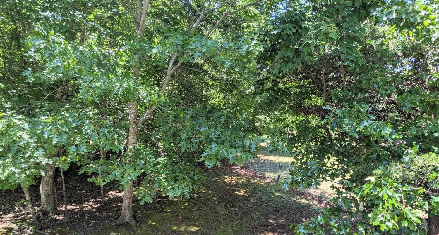 3959 Diamond Hill Road Moneta, VA 24121 - Photo 19 of 50 a backyard of a house with lots of trees