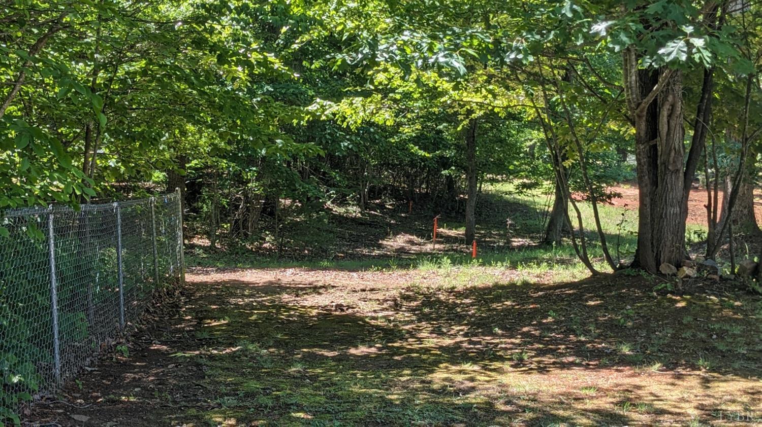 3959 Diamond Hill Road Moneta, VA 24121 - Photo 42 of 50 a backyard of a house with lots of green space