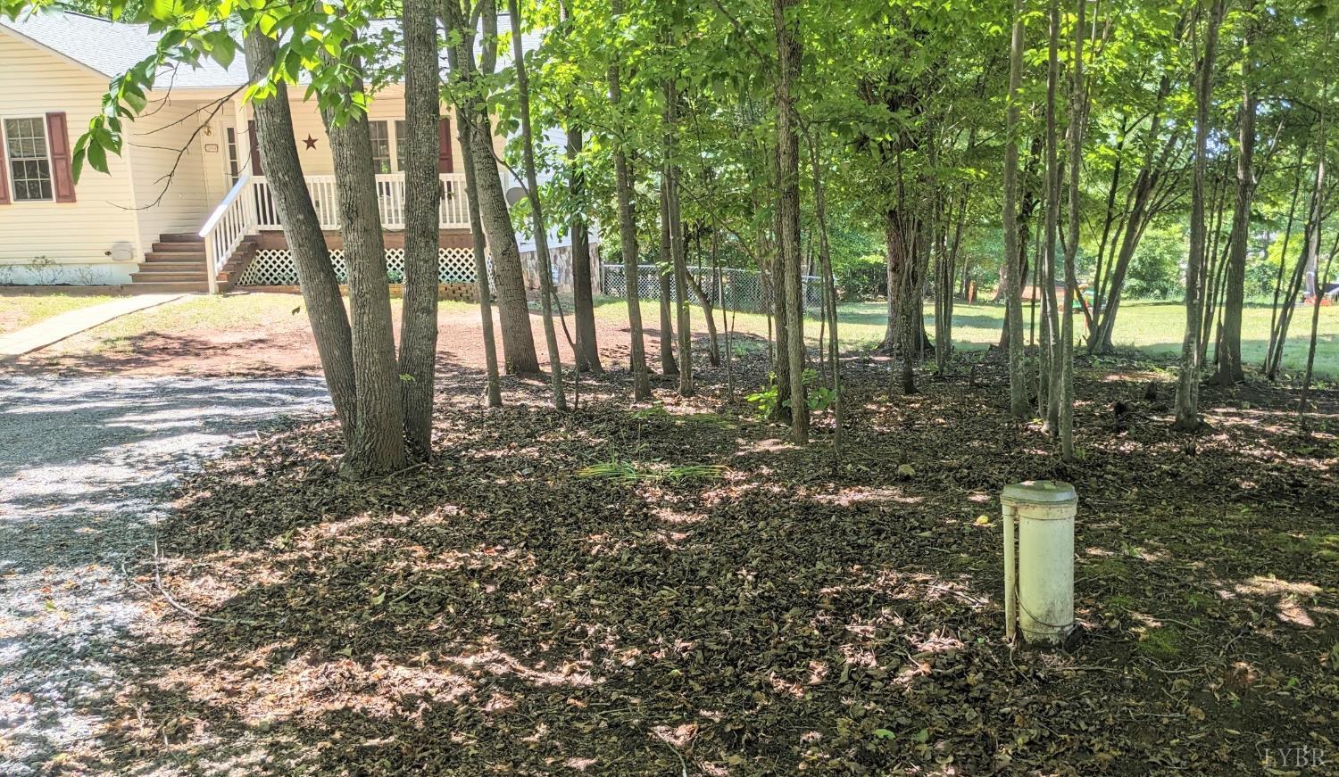 3959 Diamond Hill Road Moneta, VA 24121 - Photo 5 of 50 a view of a yard with plants and trees