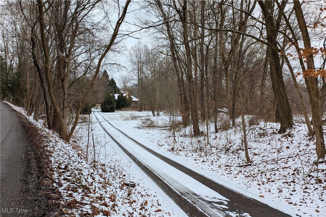 8026 Lee Road Northwest Malvern, OH 44644 - Photo 1 of 44 View of asphalt road