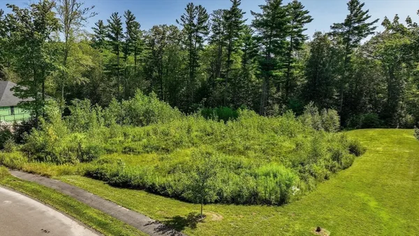 a view of a garden with a bench