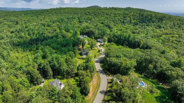 a view of a lush green forest with lawn chairs and plants