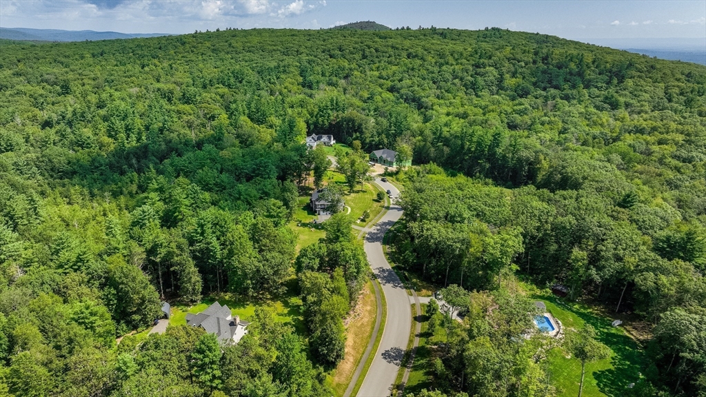 7 Quigley Road Southampton, MA 01073 - Photo 13 of 33 a view of a lush green forest with lawn chairs and plants