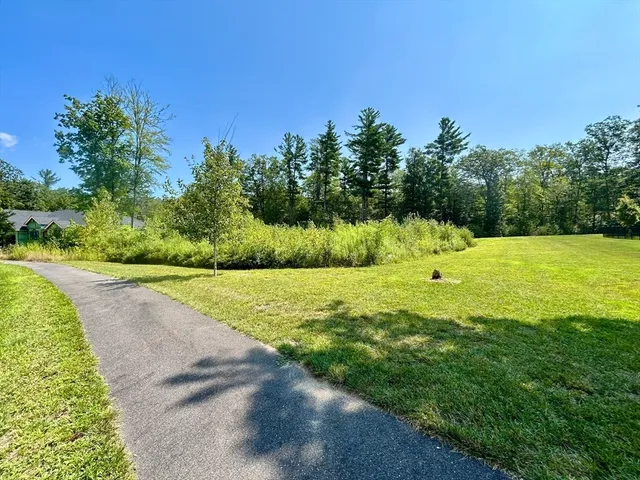 a view of a park with large trees
