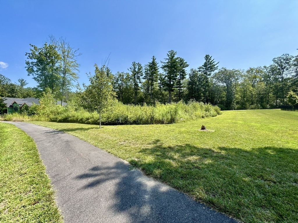 7 Quigley Road Southampton, MA 01073 - Photo 16 of 33 a view of a park with large trees