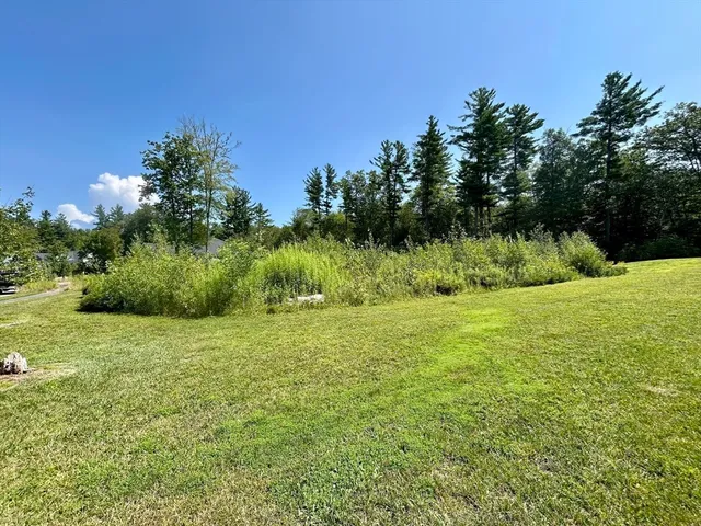a view of a big yard with a garden