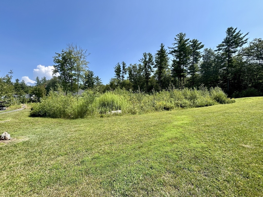 7 Quigley Road Southampton, MA 01073 - Photo 17 of 33 a view of a big yard with a garden