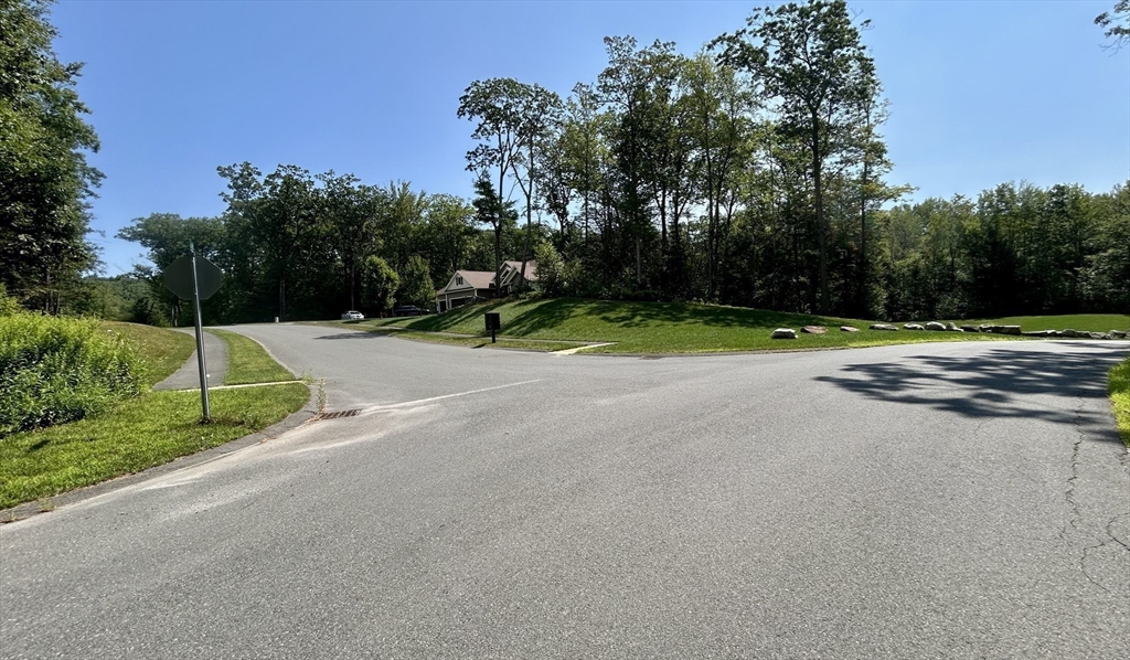 7 Quigley Road Southampton, MA 01073 - Photo 20 of 33 a view of field with tall trees