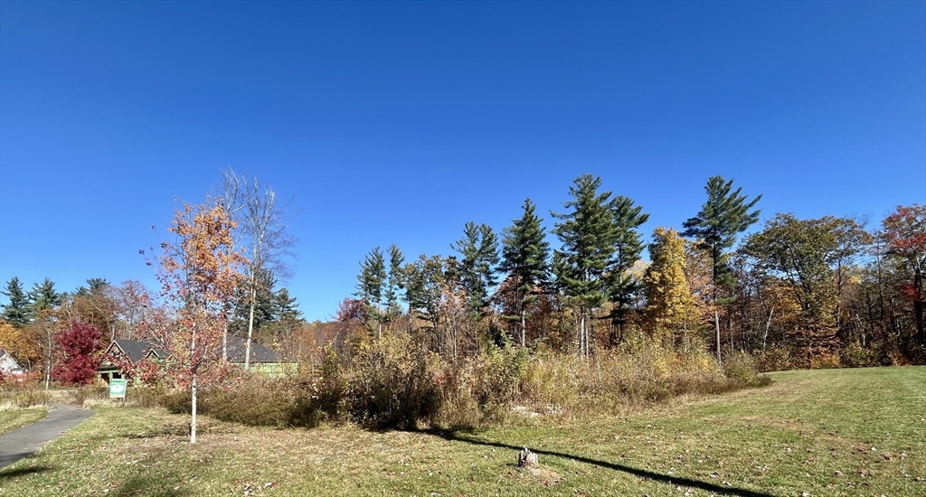 7 Quigley Road Southampton, MA 01073 - Photo 26 of 33 a view of a yard