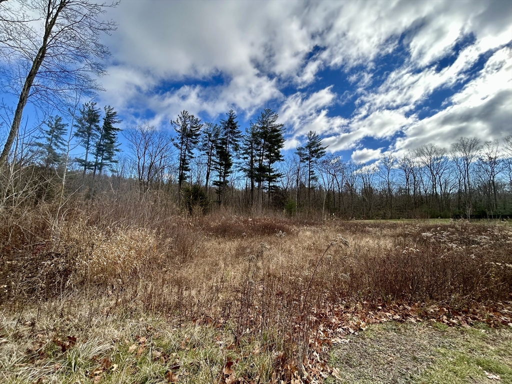 7 Quigley Road Southampton, MA 01073 - Photo 29 of 33 a view of back yard