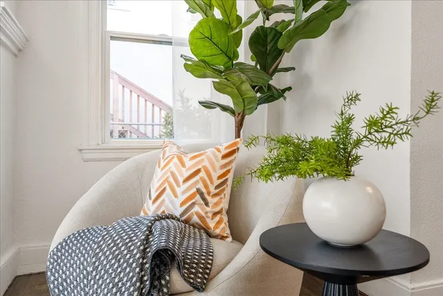 a view of a flower pot