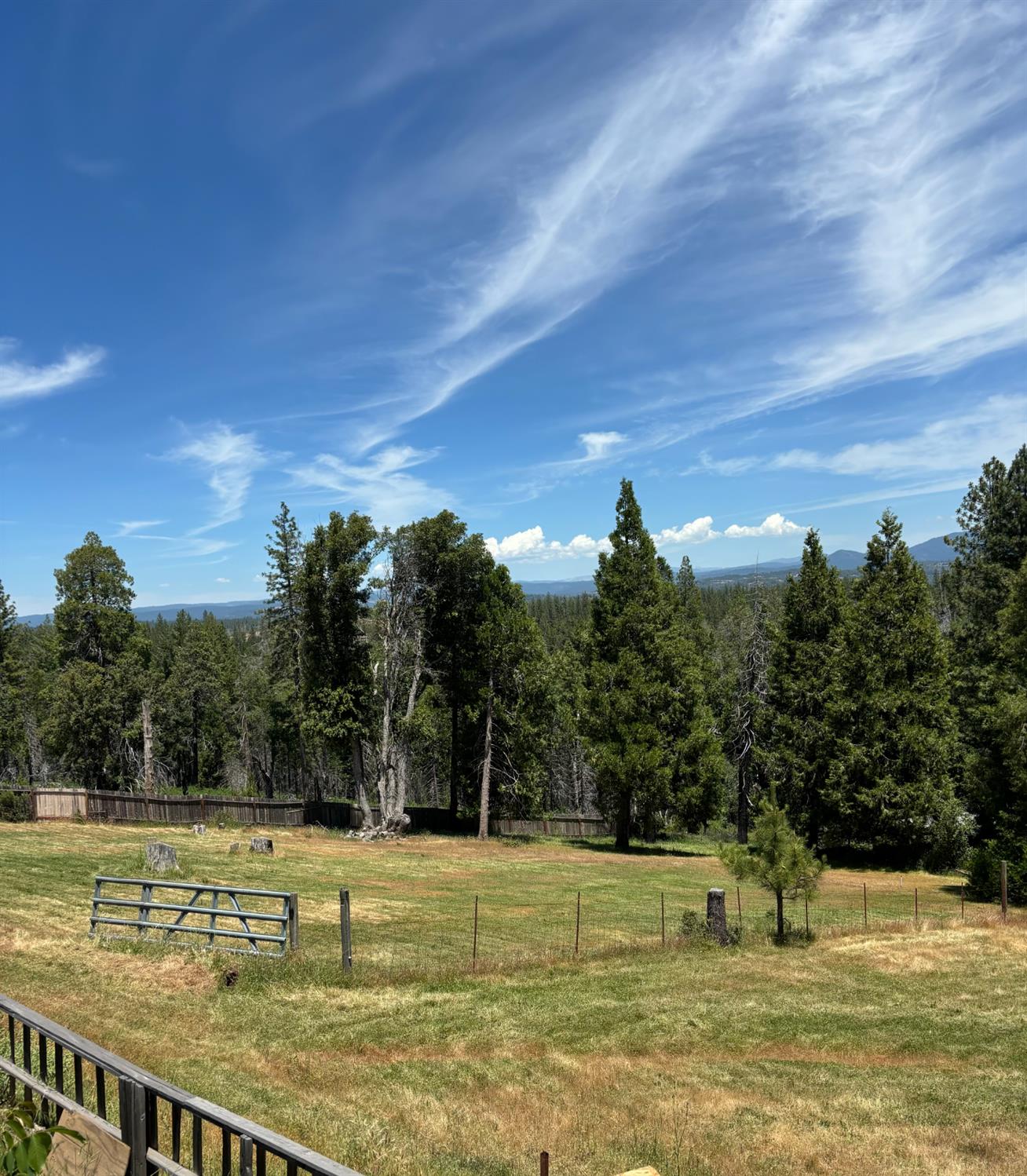17958 Creations Way Mountain Ranch, CA 95245 - Photo 21 of 28 View across and down the northern pasture.