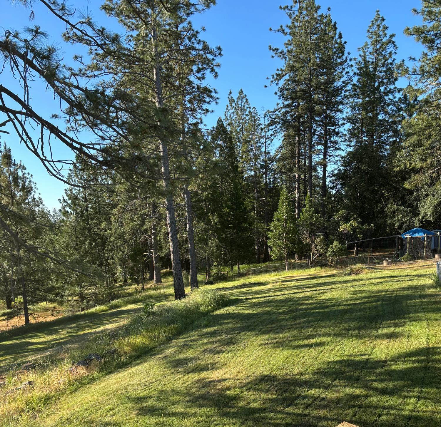 17958 Creations Way Mountain Ranch, CA 95245 - Photo 22 of 28 Top pasture when mowed this spring.