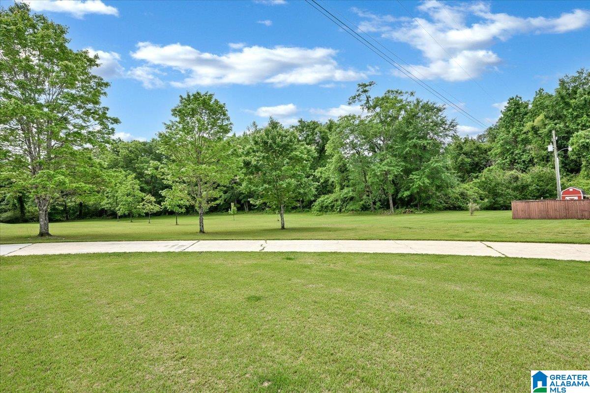 202 Valley Road Sulligent, AL 35586 - Photo 48 of 65