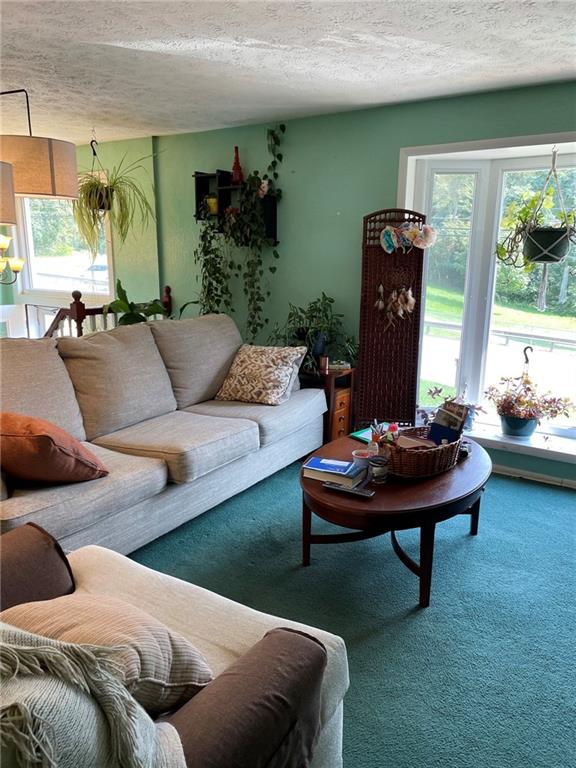 759 Center Road Plum, PA 15239 - Photo 13 of 20 Gallery Image 13