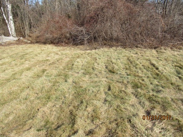 74 Bubier Road Marblehead, MA 01945 - Photo 8 of 9 Gallery Image 8