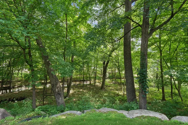 $1,599,000 | 18844 Bearpath Trail, Eden Prairie, MN 55347