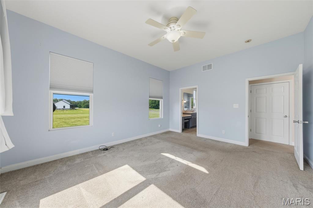 4722 Timber View Drive Waterloo, IL 62298 - Photo 31 of 52