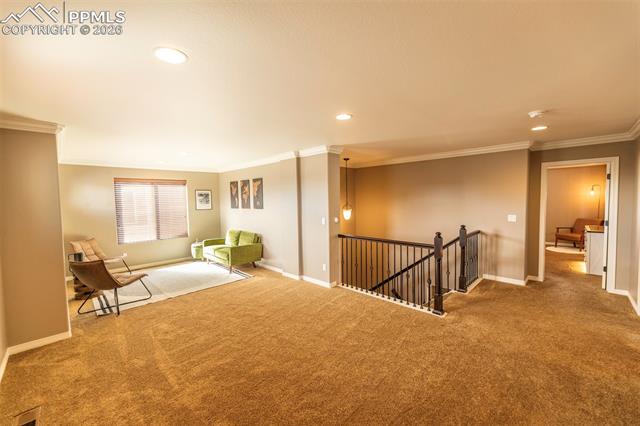 2415 Reed Grass Way Colorado Springs, CO 80915 - Photo 20 of 50 Gallery Image 20