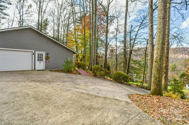 a view of backyard with potted plants and large tree