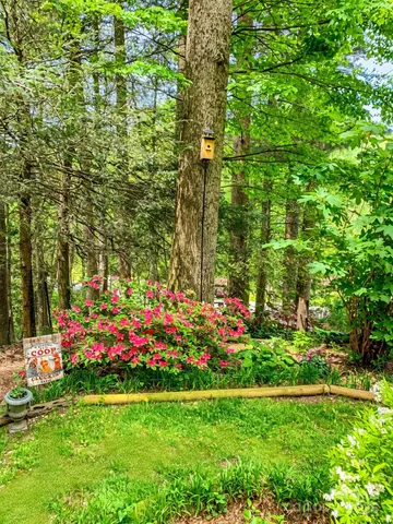 a view of a kitchen with flowers and trees