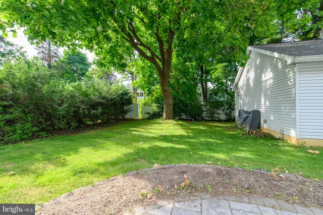 a view of a backyard with a small cabin