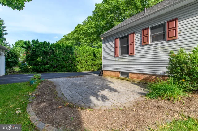 a view of a backyard with plants and large tree