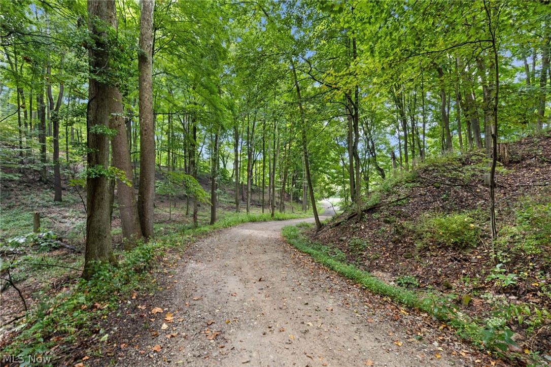 105 Mill Road Bellville, OH 44813 - Photo 2 of 50 Gallery Image 2