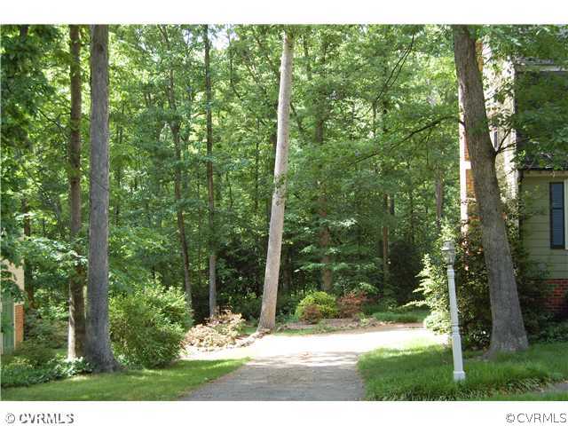 8656 Brown Summit Road Richmond, VA 23235 - Photo 12 of 12 View - This is the enveloping landscape