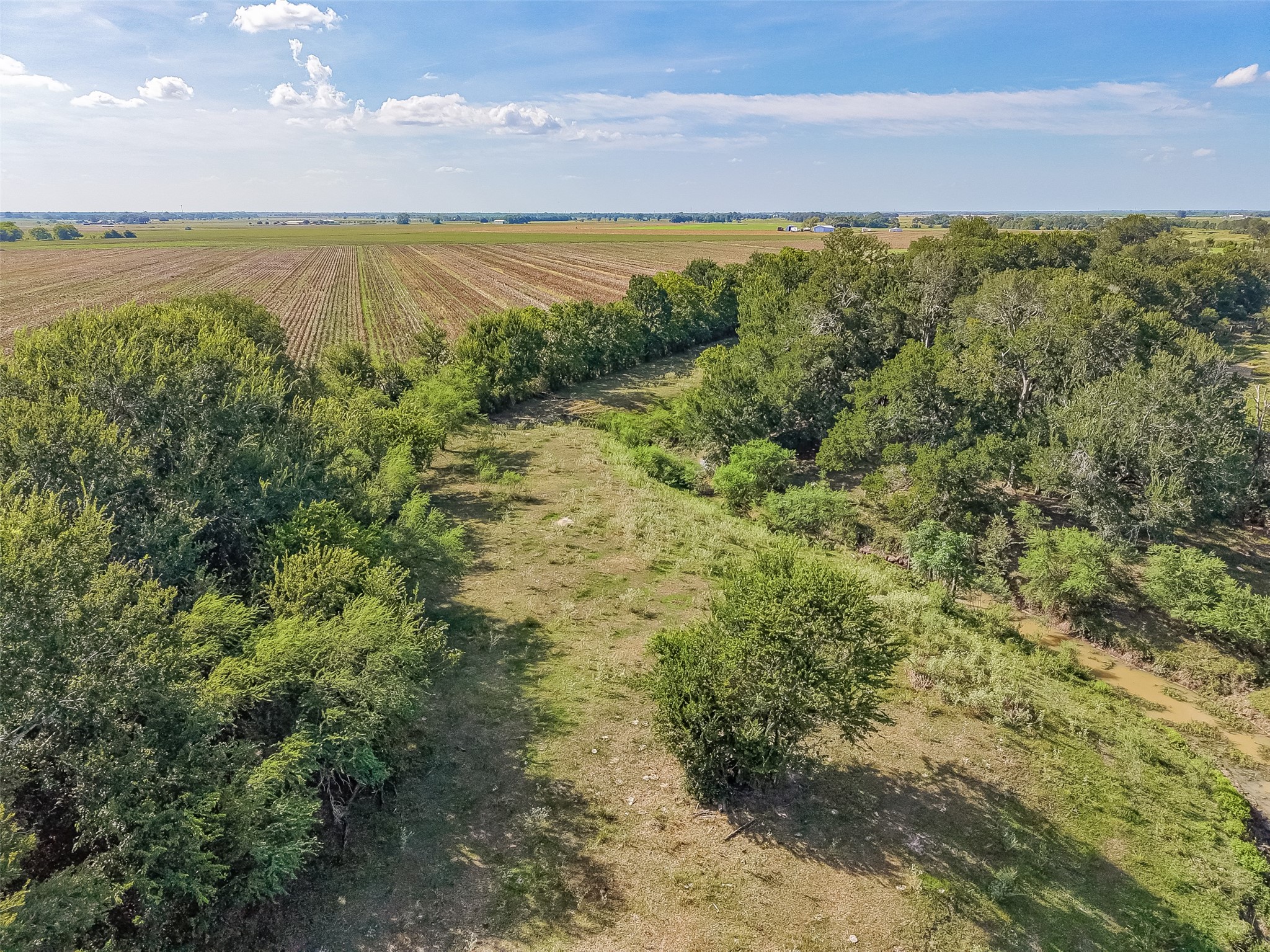 10542 Walker Road Beasley, TX 77417 - Photo 13 of 25 Gallery Image 13