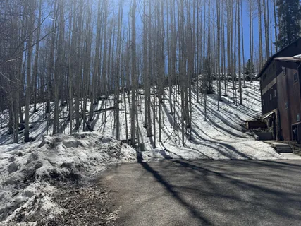 $200,000 | 304 Adams Ranch Road, Mountain Village, CO 81435