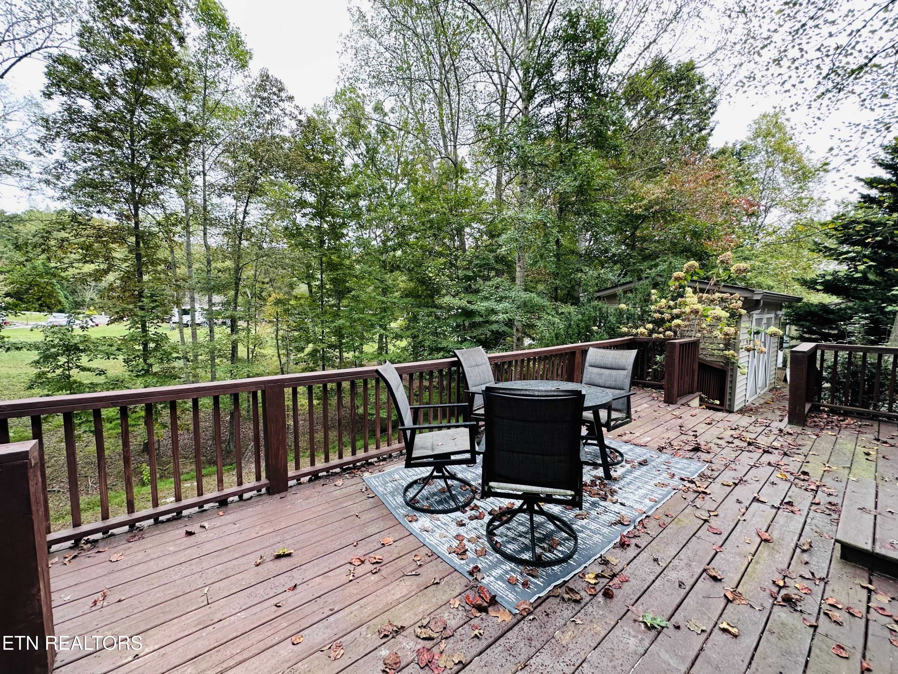 206 Randall Fugate Road Spring City, TN 37381 - Photo 22 of 25 IMG_0510