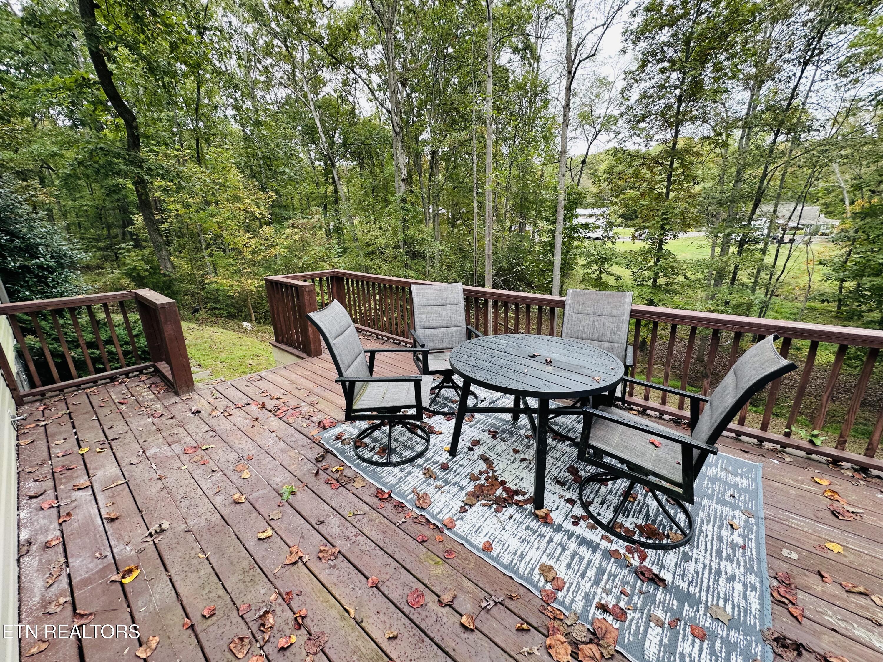 206 Randall Fugate Road Spring City, TN 37381 - Photo 23 of 25 IMG_0509