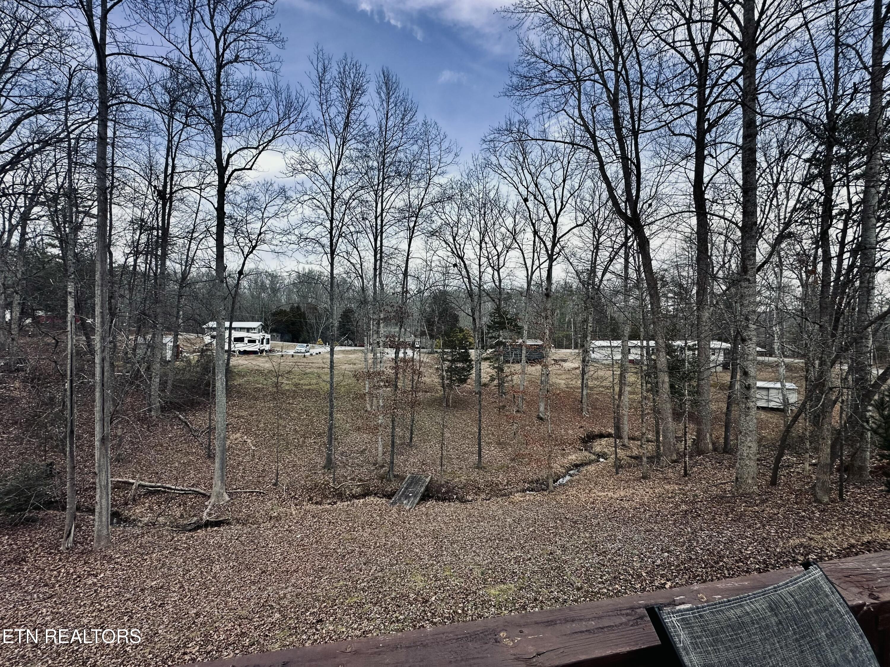 206 Randall Fugate Road Spring City, TN 37381 - Photo 24 of 28 Yard