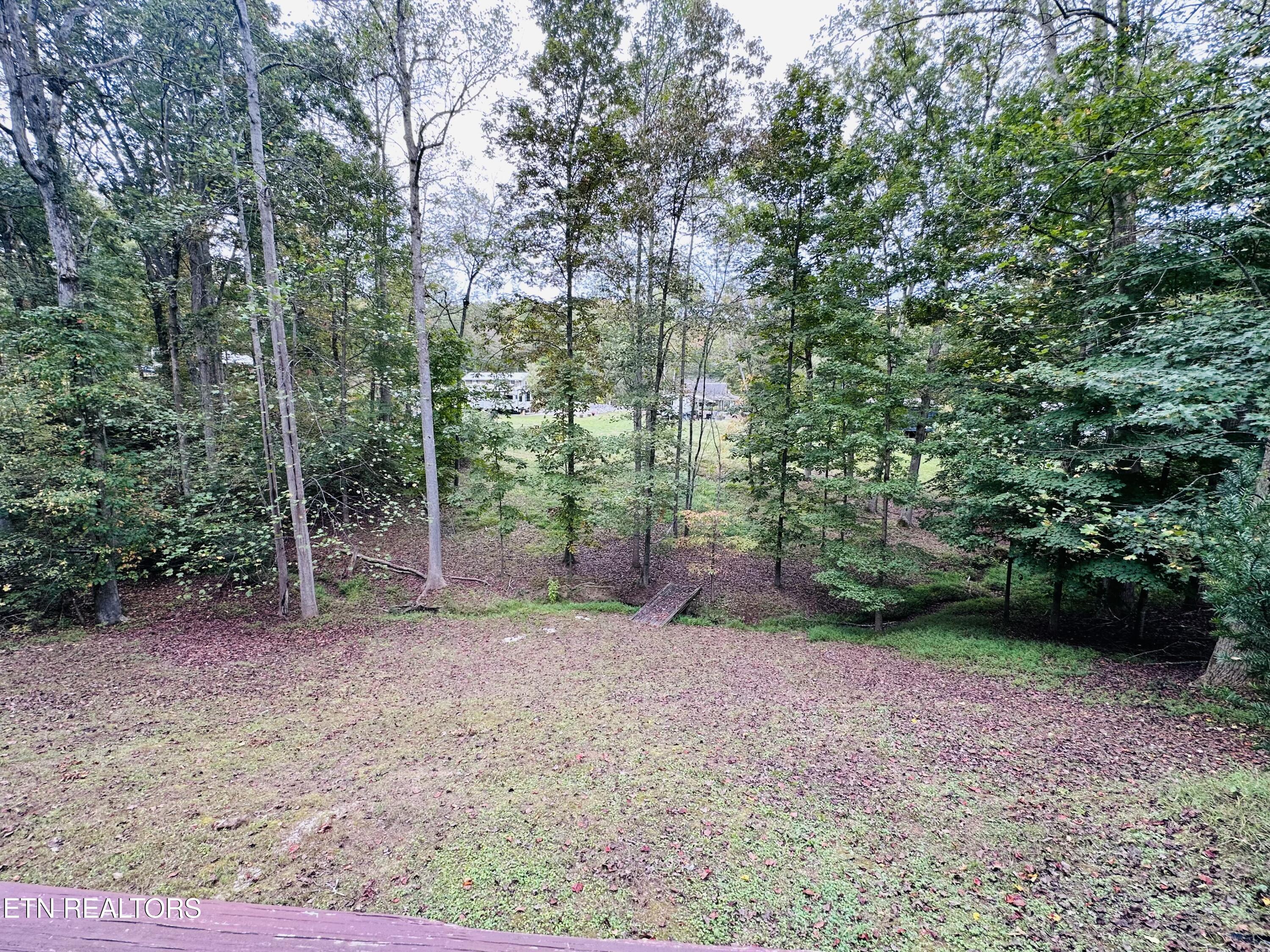 206 Randall Fugate Road Spring City, TN 37381 - Photo 25 of 28 Yard