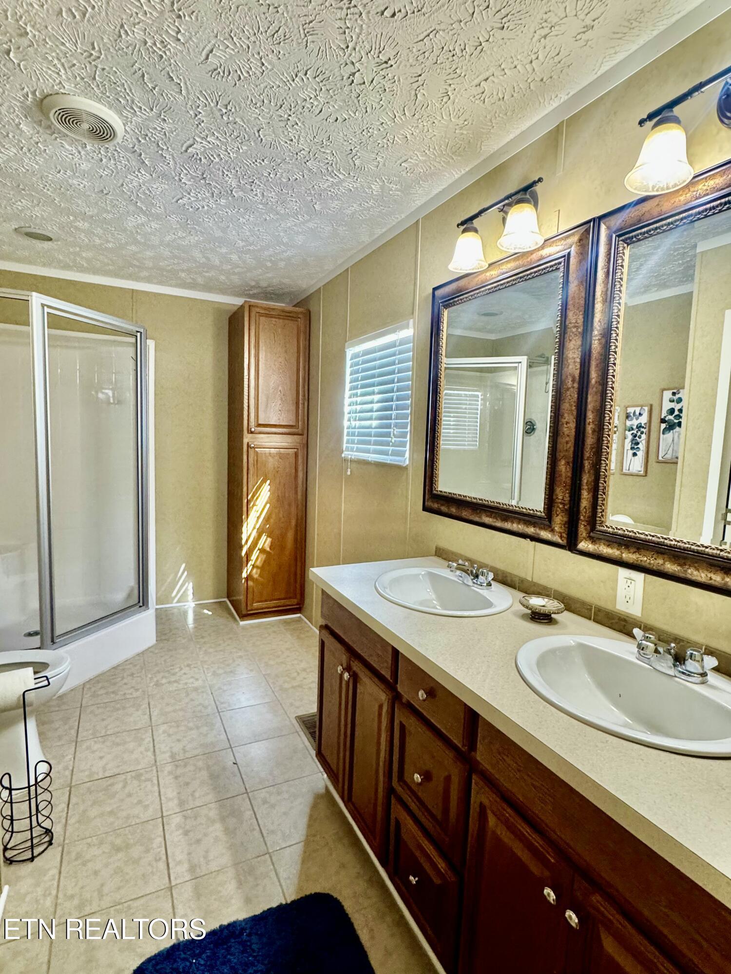 206 Randall Fugate Road Spring City, TN 37381 - Photo 10 of 28 Primary Bath