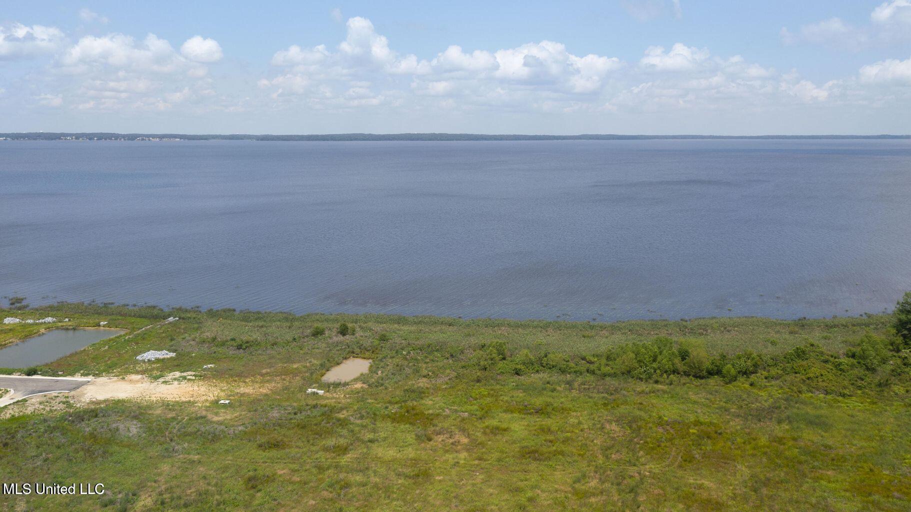 197 Arbor View Brandon, MS 39047 - Photo 13 of 21 Arbor Landing 17