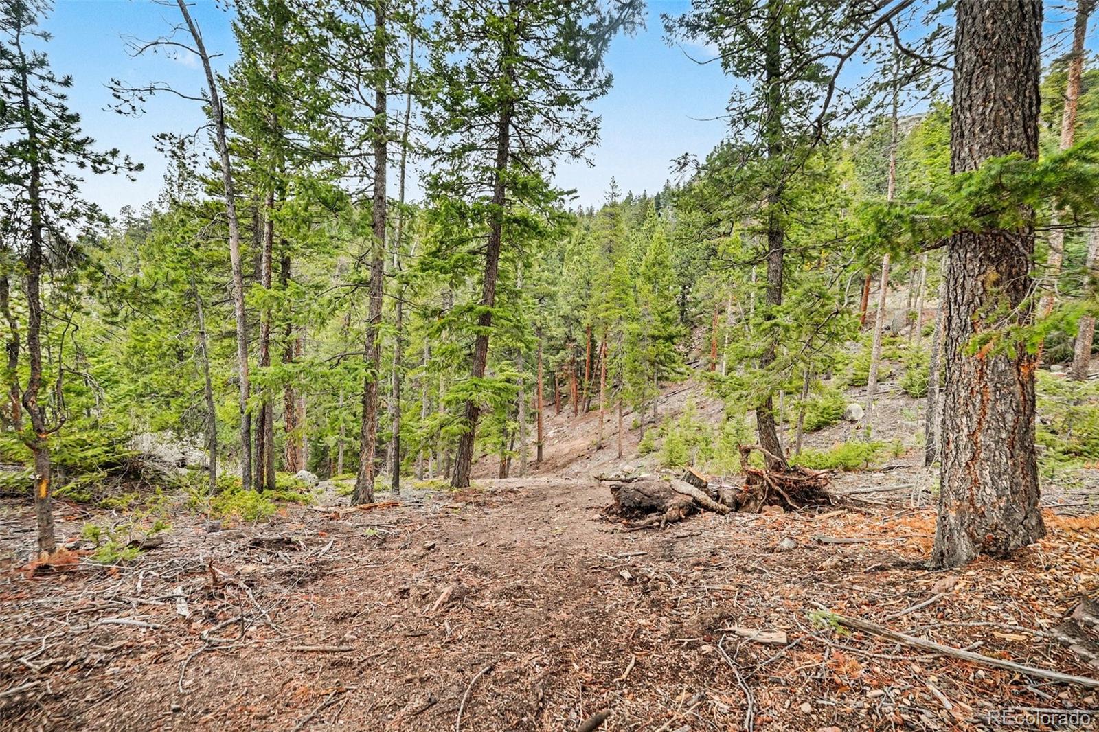 7141 Timber Trail Road Evergreen, CO 80439 - Photo 2 of 9