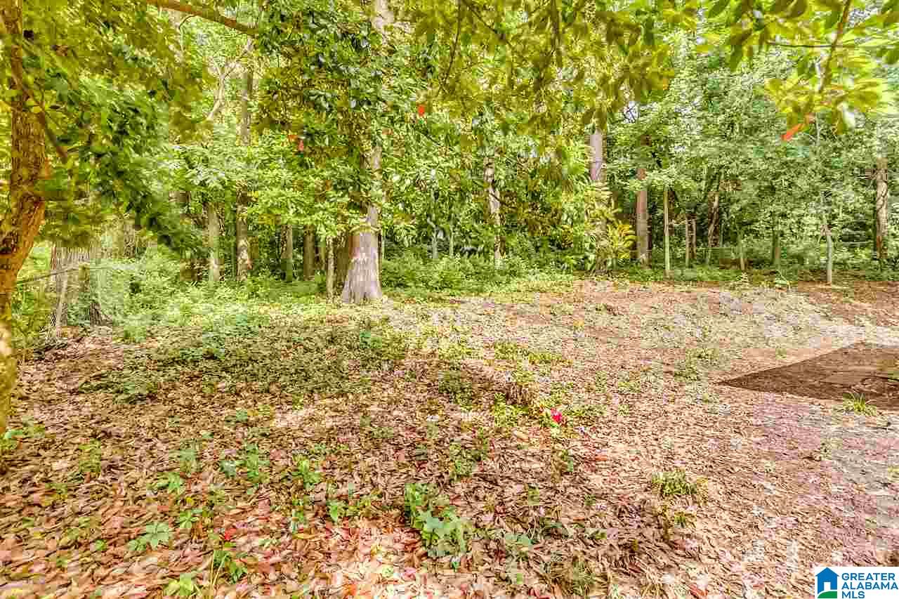 2604 Woodfern Court Birmingham, AL 35209 - Photo 29 of 31
