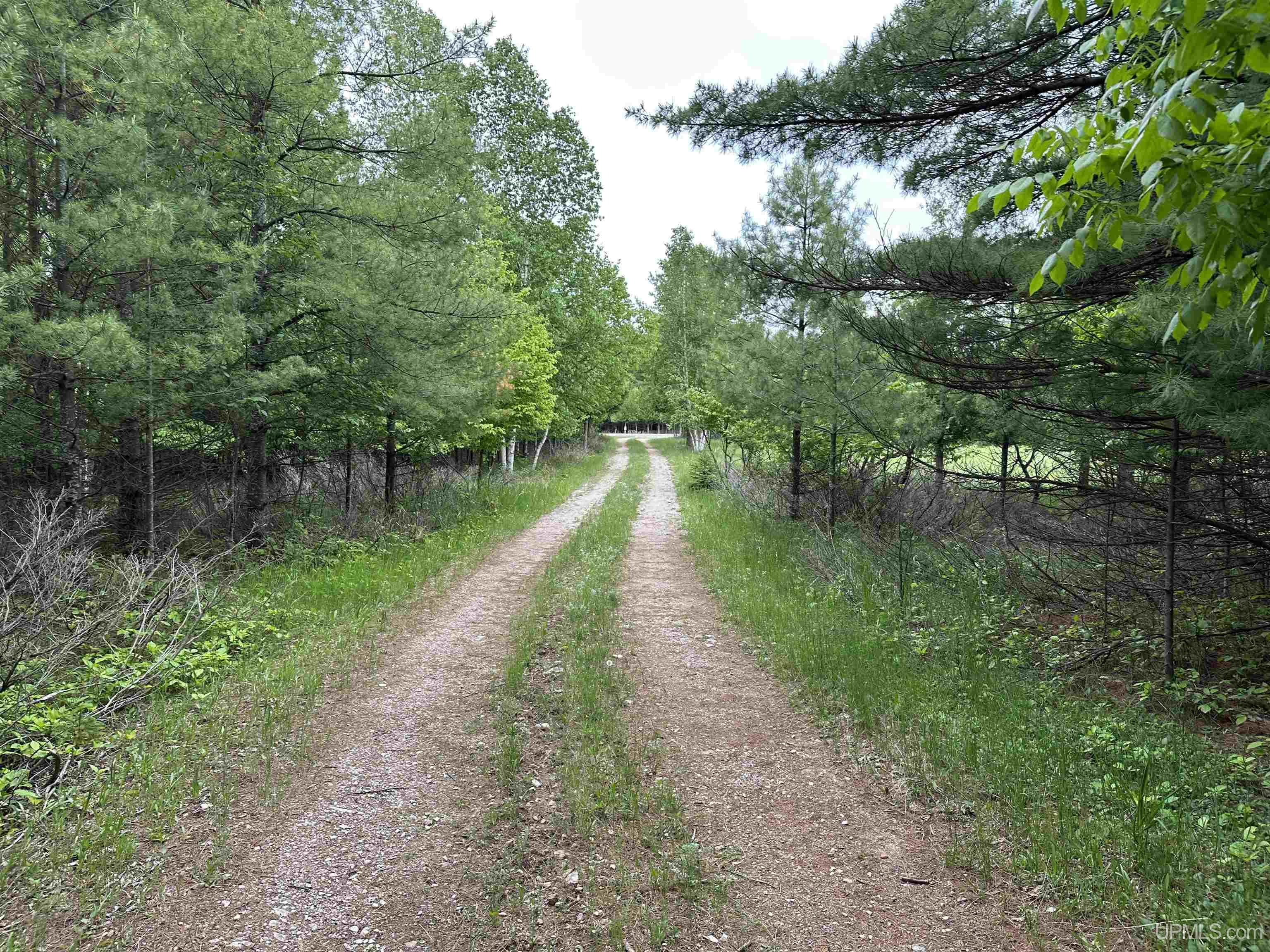 Tbd Tbd 17th Harbor Rd Garden Garden, MI 49835 - Photo 4 of 20