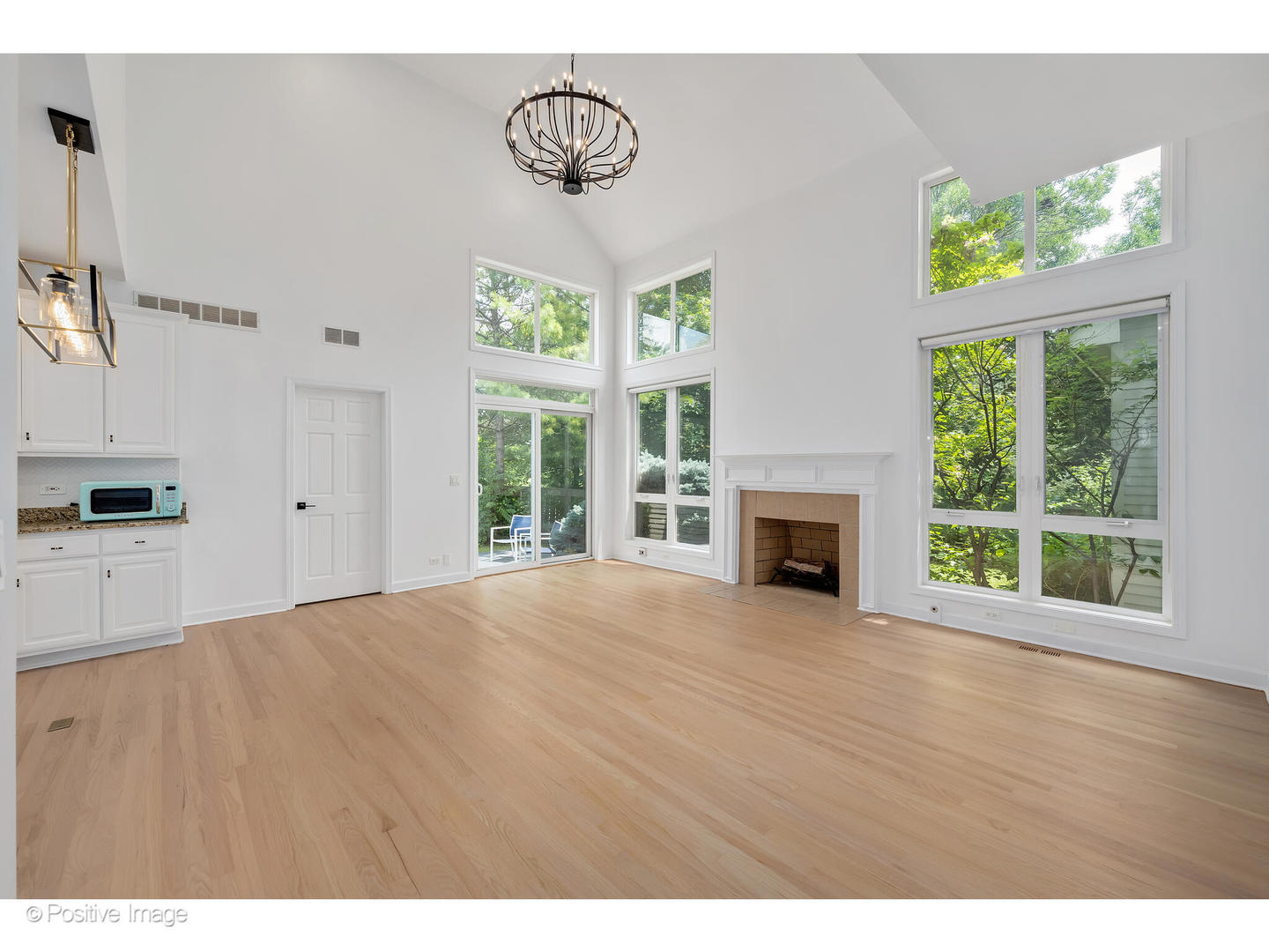 1103 Compass Court Naperville, IL 60540 - Photo 5 of 19 a view of an empty room with a fireplace and a window