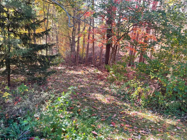 $220,000 | 1945 South 200th Avenue, Hesperia, MI 49421