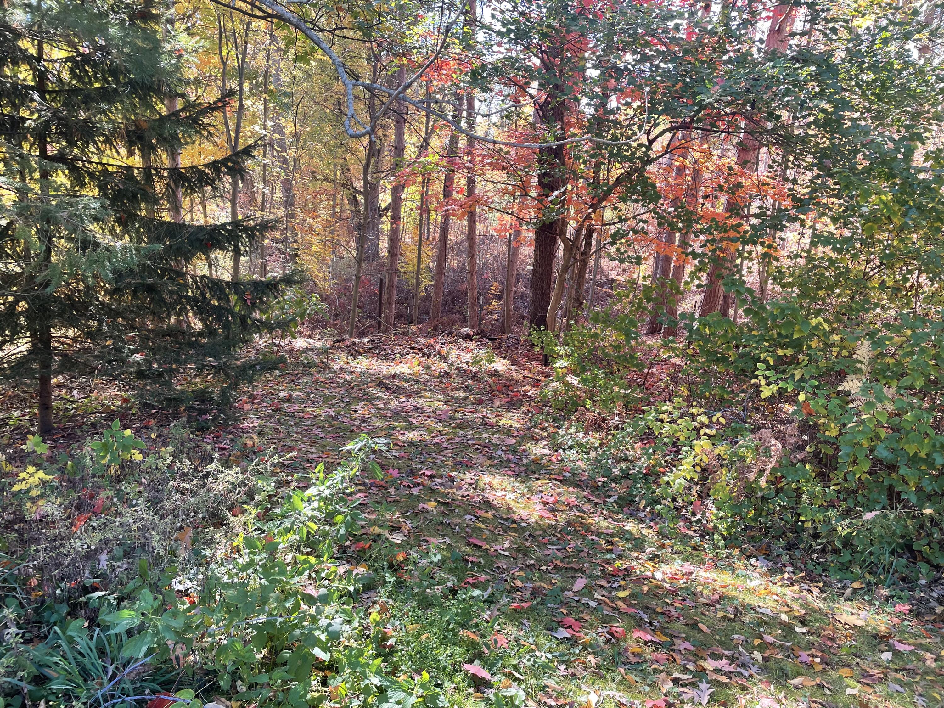 1945 South 200th Avenue Hesperia, MI 49421 - Photo 11 of 40 IMG_4240