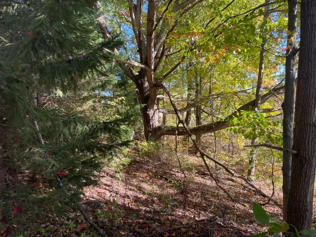 $220,000 | 1945 South 200th Avenue, Hesperia, MI 49421