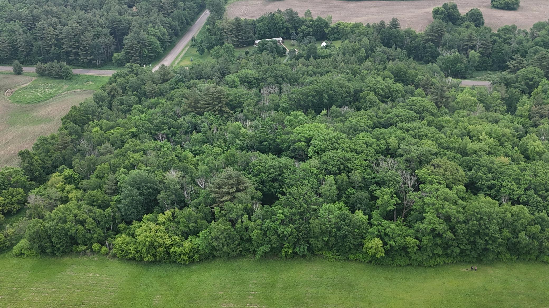 Tbd Tbd 40th Clayton, WI 54004 - Photo 7 of 25
