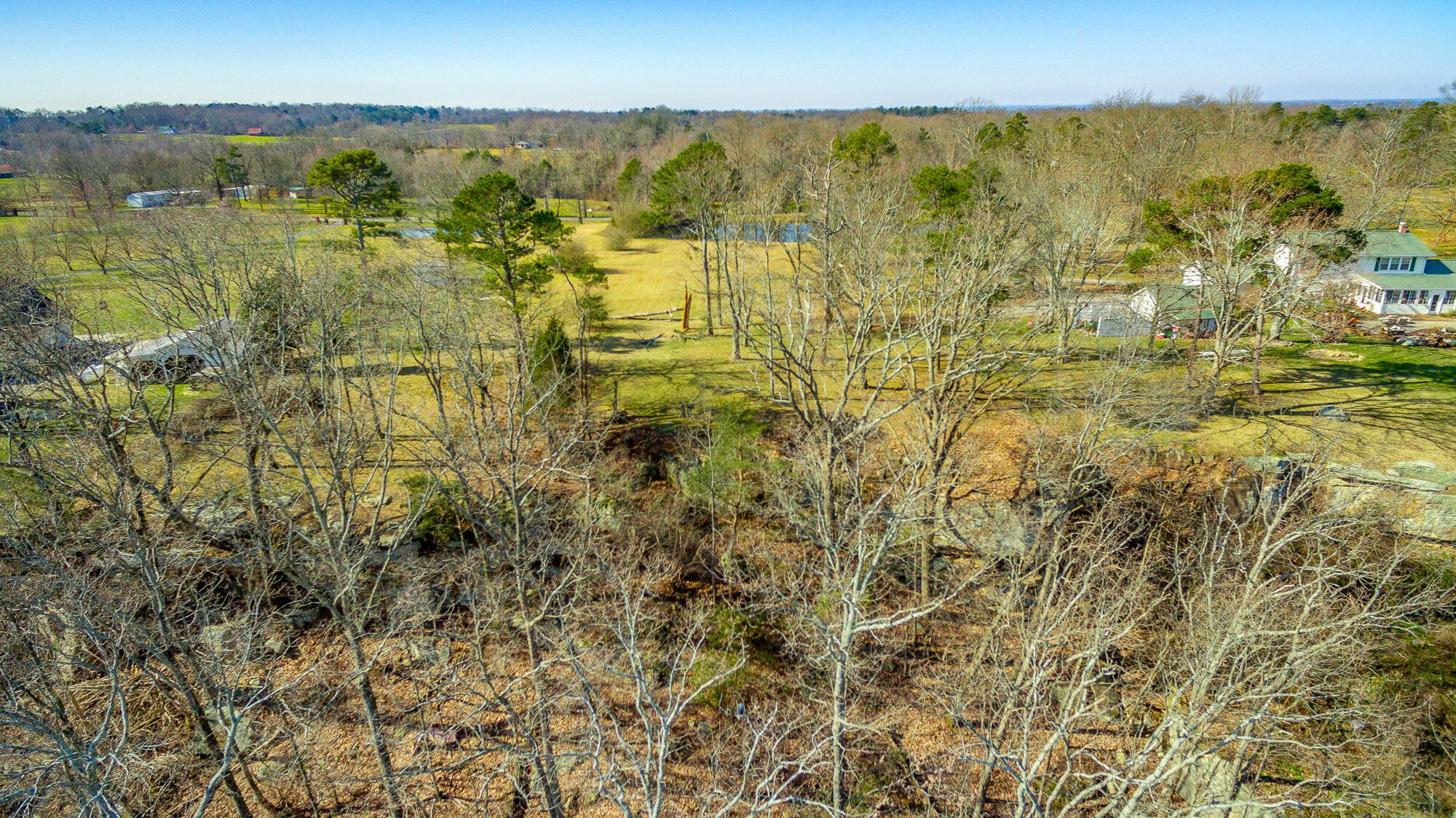 0 County Road Flat Rock, AL 35966 - Photo 11 of 25 Gallery Image 11